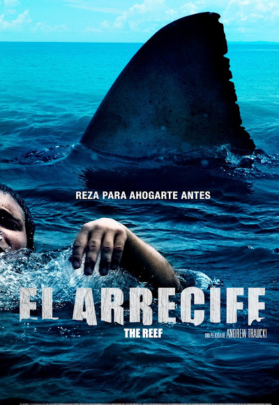 Descargar app El Arrecife disponible para descarga