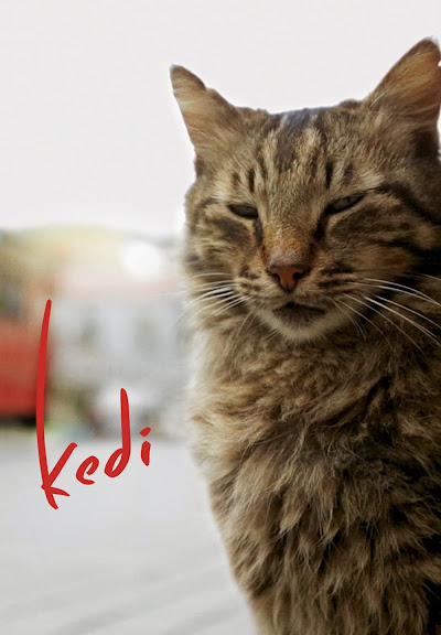 Descargar app Kedi (gatos De Estambul) (vos) disponible para descarga