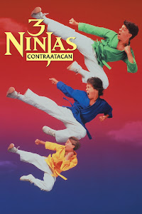 Descargar app 3 Ninjas Contratacan (3 Ninjas Kick Back) disponible para descarga